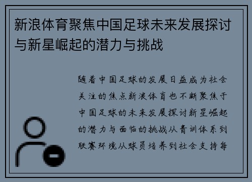 新浪体育聚焦中国足球未来发展探讨与新星崛起的潜力与挑战